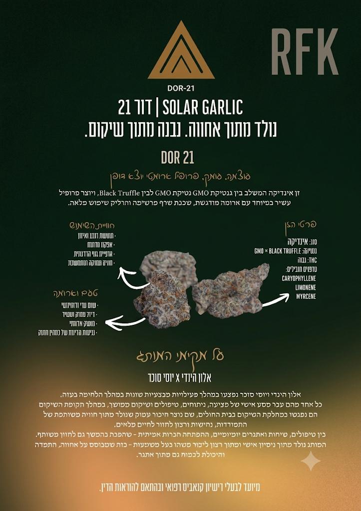 דף מוצר Dor-21
